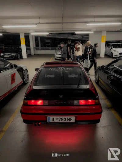 TCE XXXLutz — 115