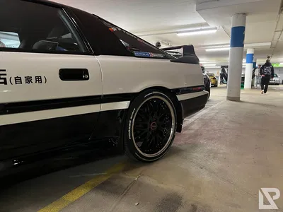 TCE XXXLutz — 17