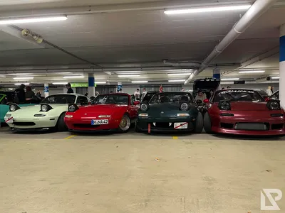 TCE XXXLutz — 19