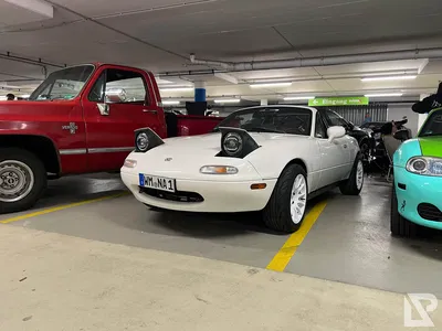 TCE XXXLutz — 22
