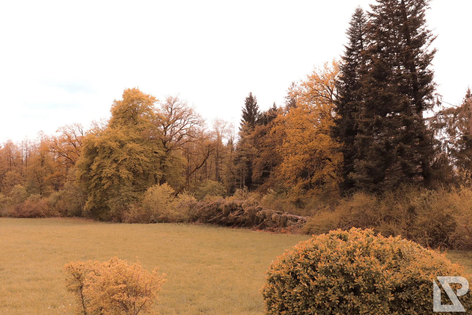 Villa Rustica Mai 2019 – Foto 19