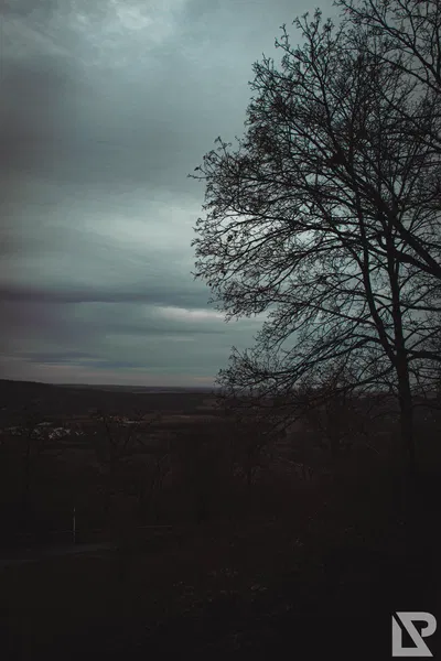 Altenburg Bamberg — 25