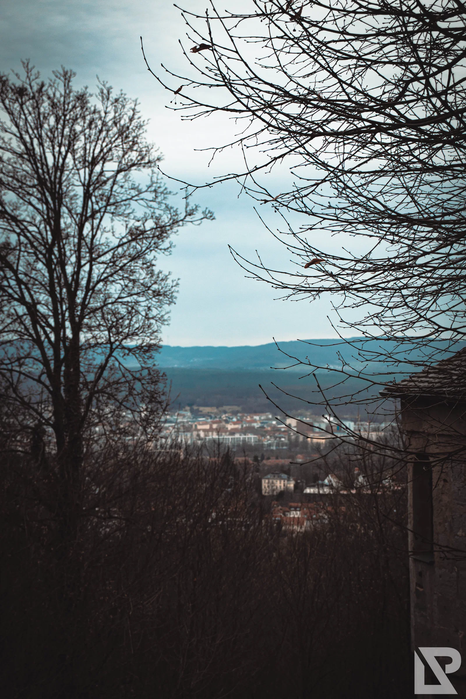 Altenburg Bamberg – Foto 36