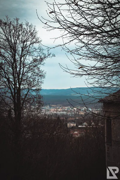 Altenburg Bamberg — 36