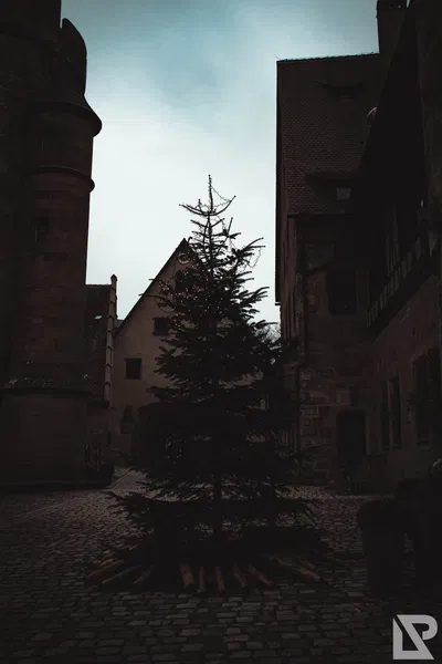 Altenburg Bamberg — 45