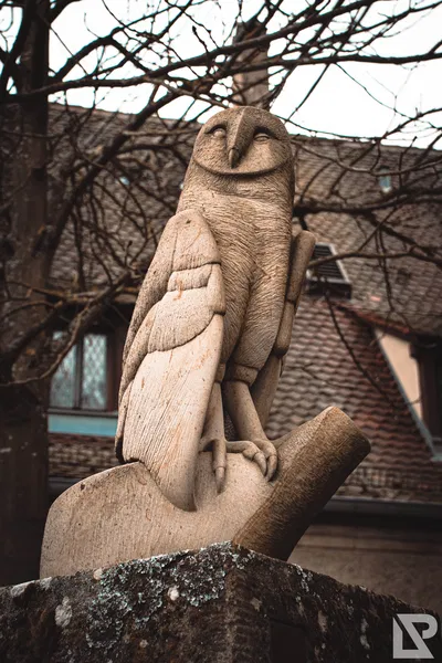 Altenburg Bamberg — 64