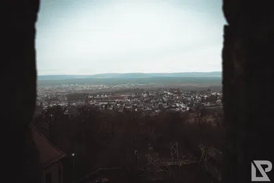 Altenburg Bamberg — 82