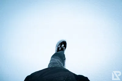 Winterwonderland — 5