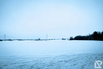 Winterwonderland — 7