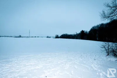 Winterwonderland — 8