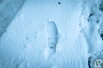 Winterwonderland — 10