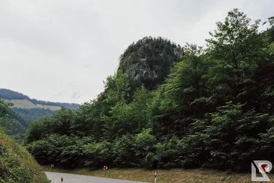 Bergen — 25