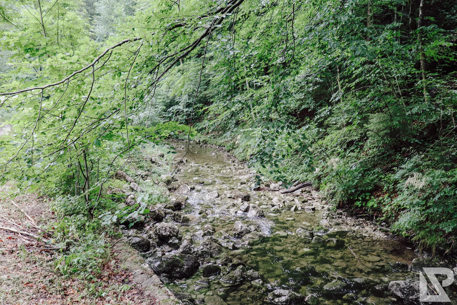 Bergen Chiemgau – Foto 35
