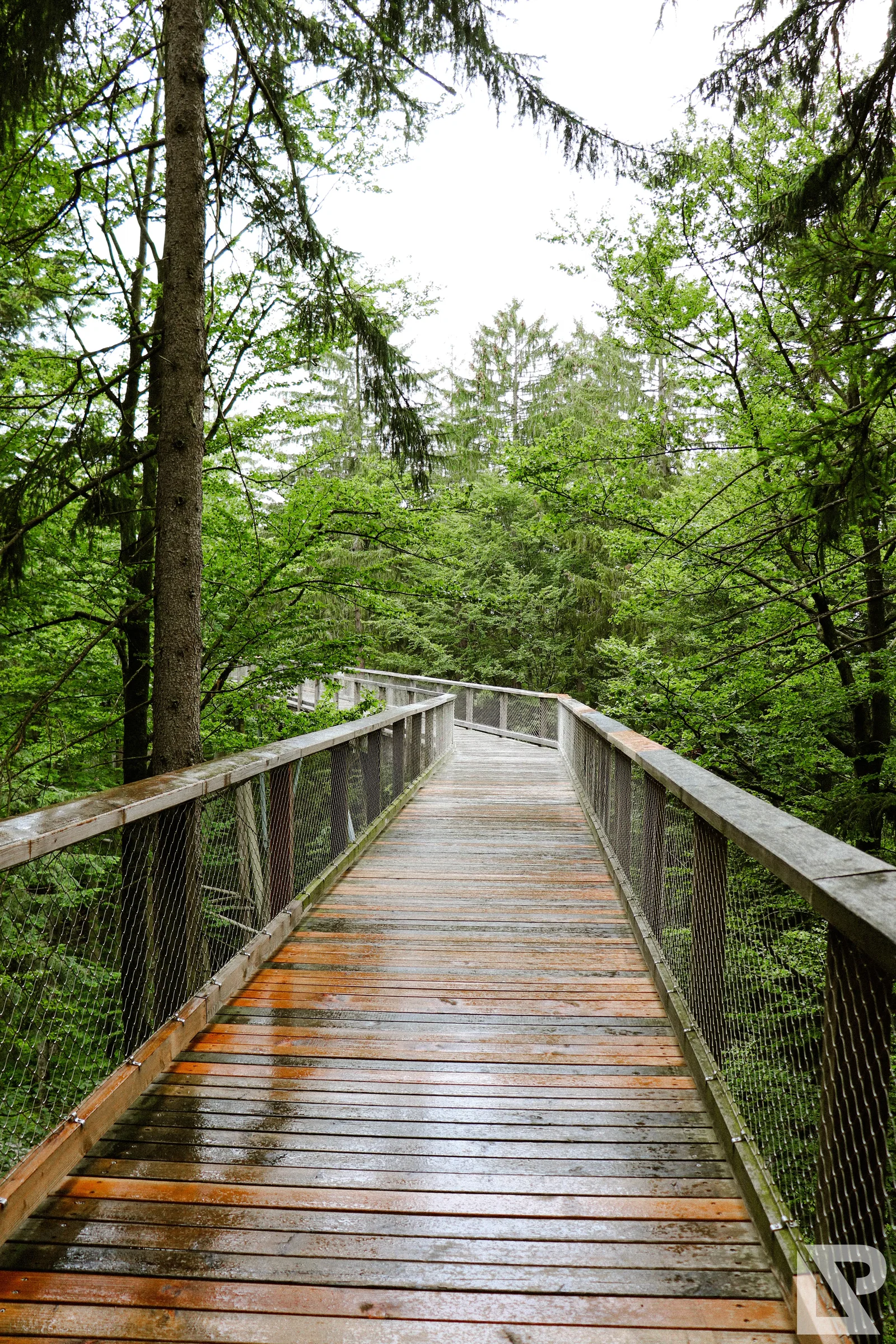 Waldwipfelweg Neuschönau – Foto 3