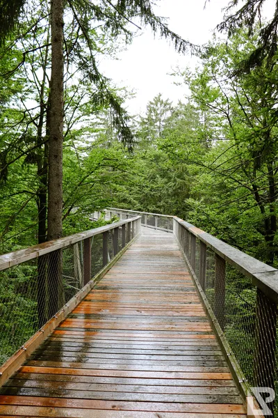 Waldwipfelweg Neuschönau — 3