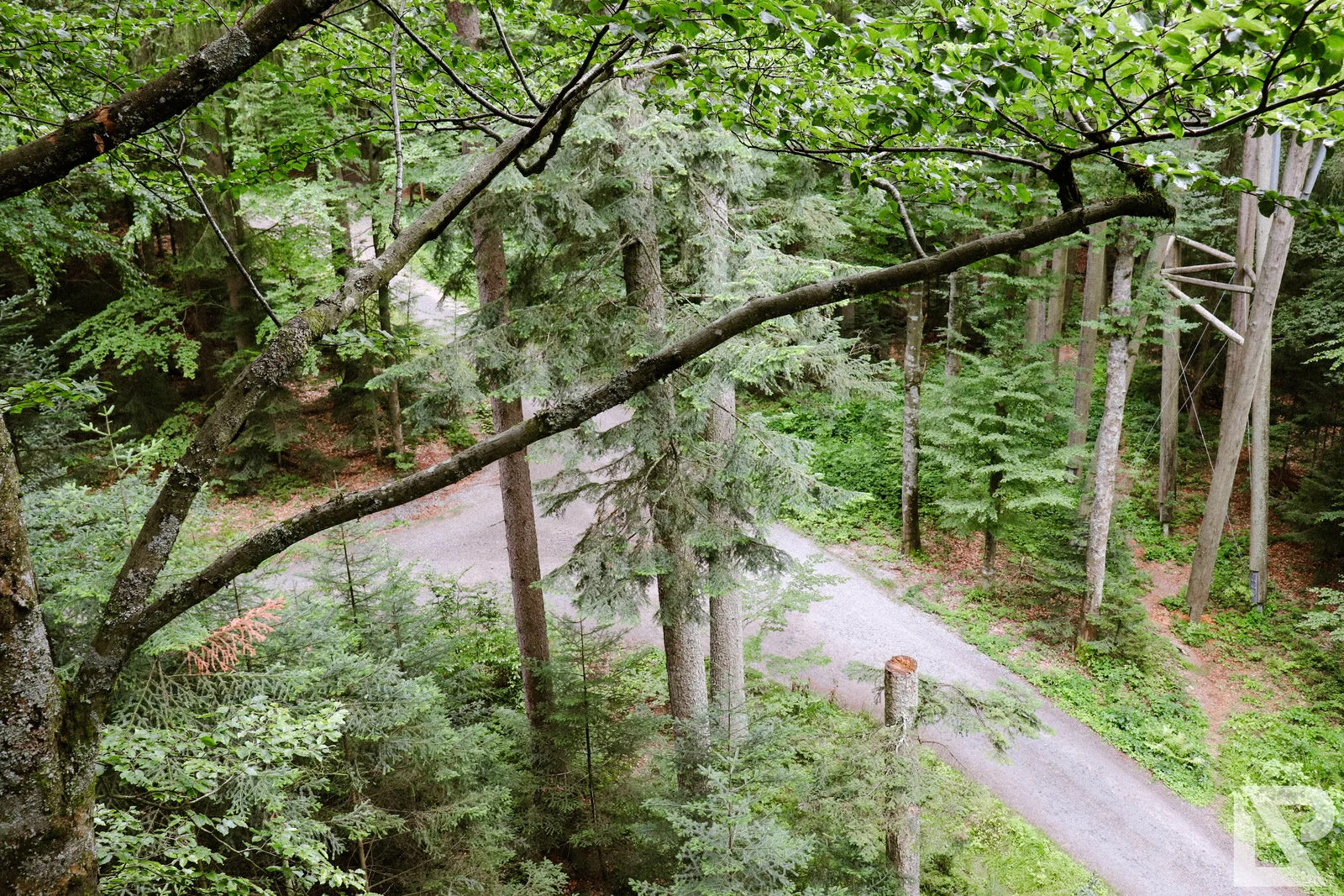 Waldwipfelweg Neuschönau – Foto 4