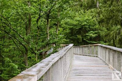Waldwipfelweg Neuschönau — 6