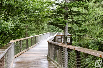 Waldwipfelweg Neuschönau — 8