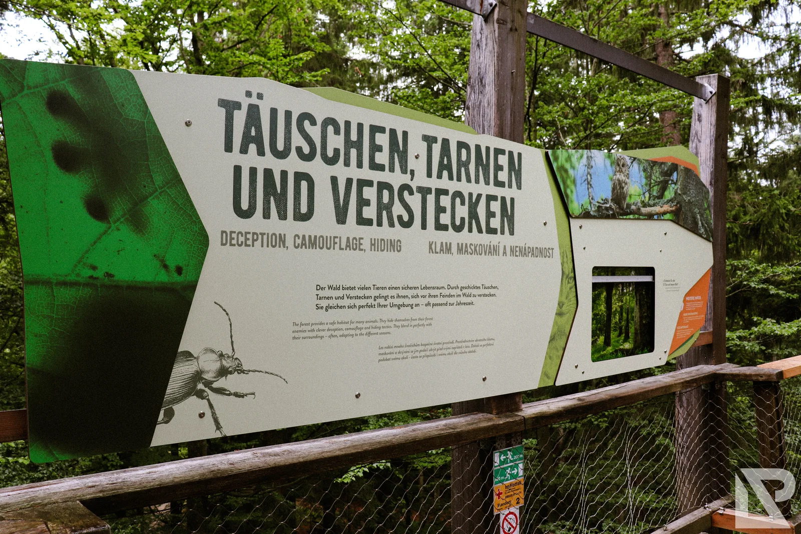 Waldwipfelweg Neuschönau – Foto 9