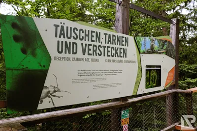 Waldwipfelweg Neuschönau — 9