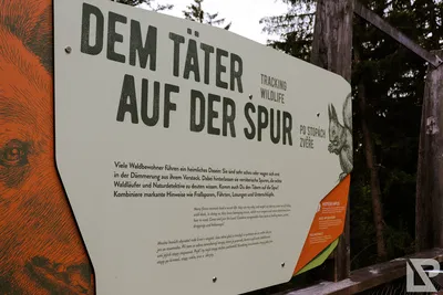Waldwipfelweg Neuschönau — 11
