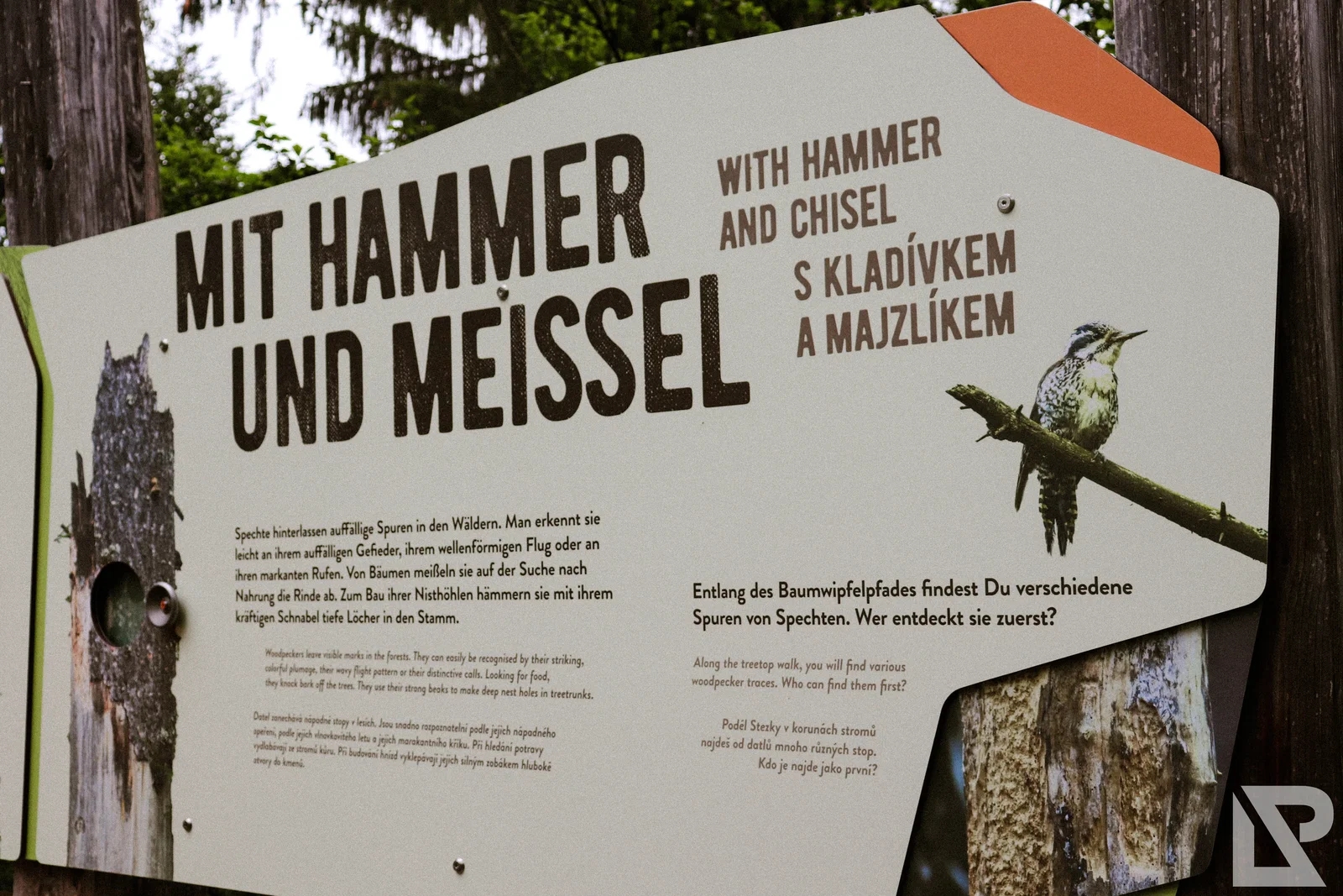 Waldwipfelweg Neuschönau – Foto 12