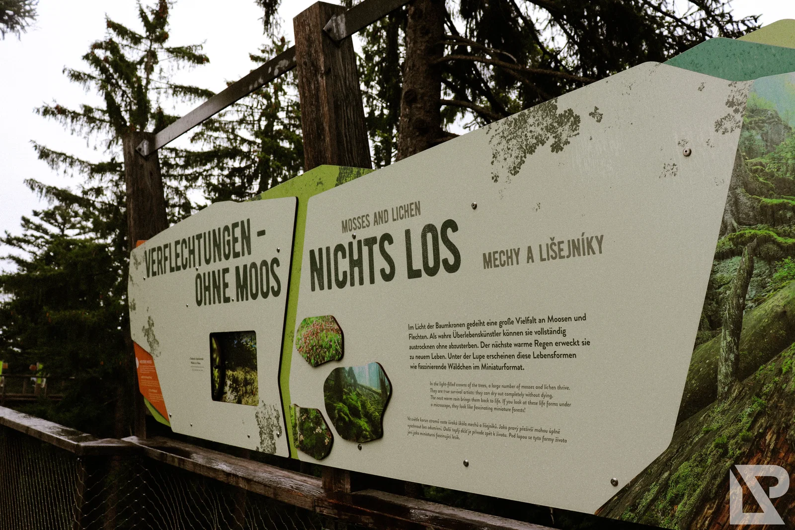 Waldwipfelweg Neuschönau – Foto 20