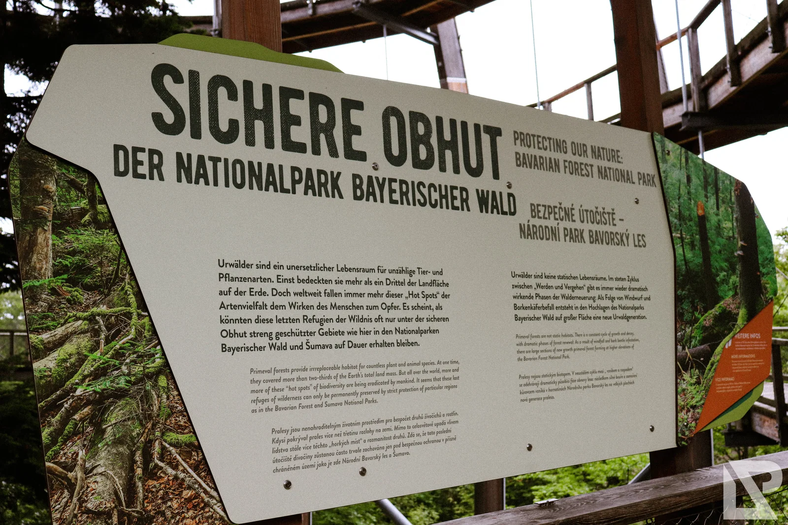 Waldwipfelweg Neuschönau – Foto 23