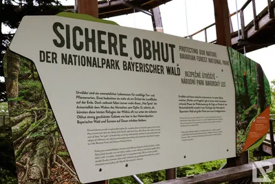 Waldwipfelweg Neuschönau — 23