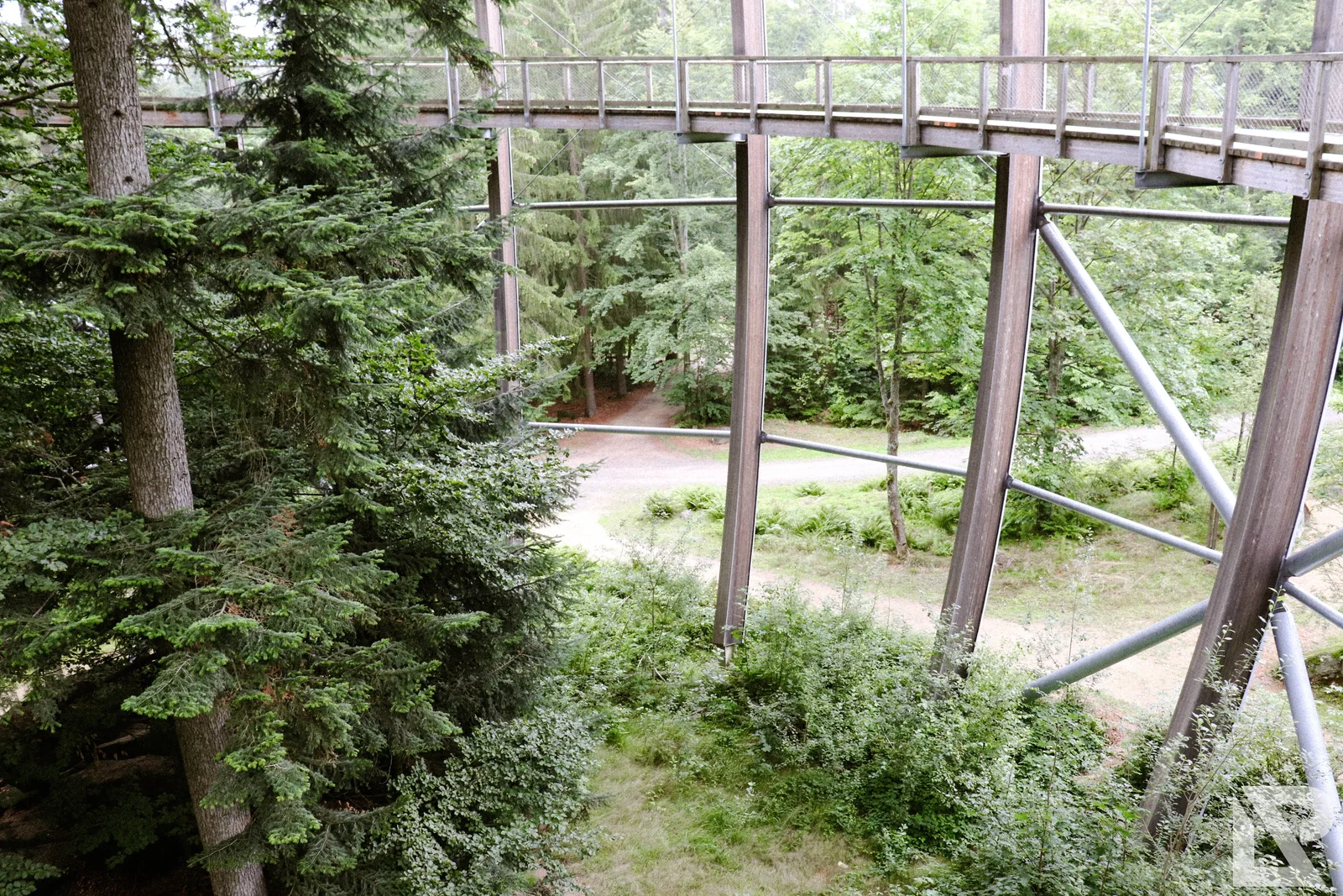 Waldwipfelweg Neuschönau – Foto 25