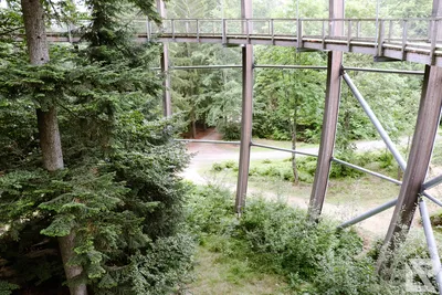 Waldwipfelweg Neuschönau — 25