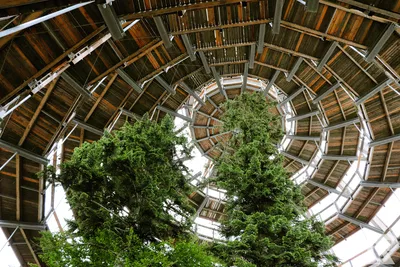 Waldwipfelweg Neuschönau — 26