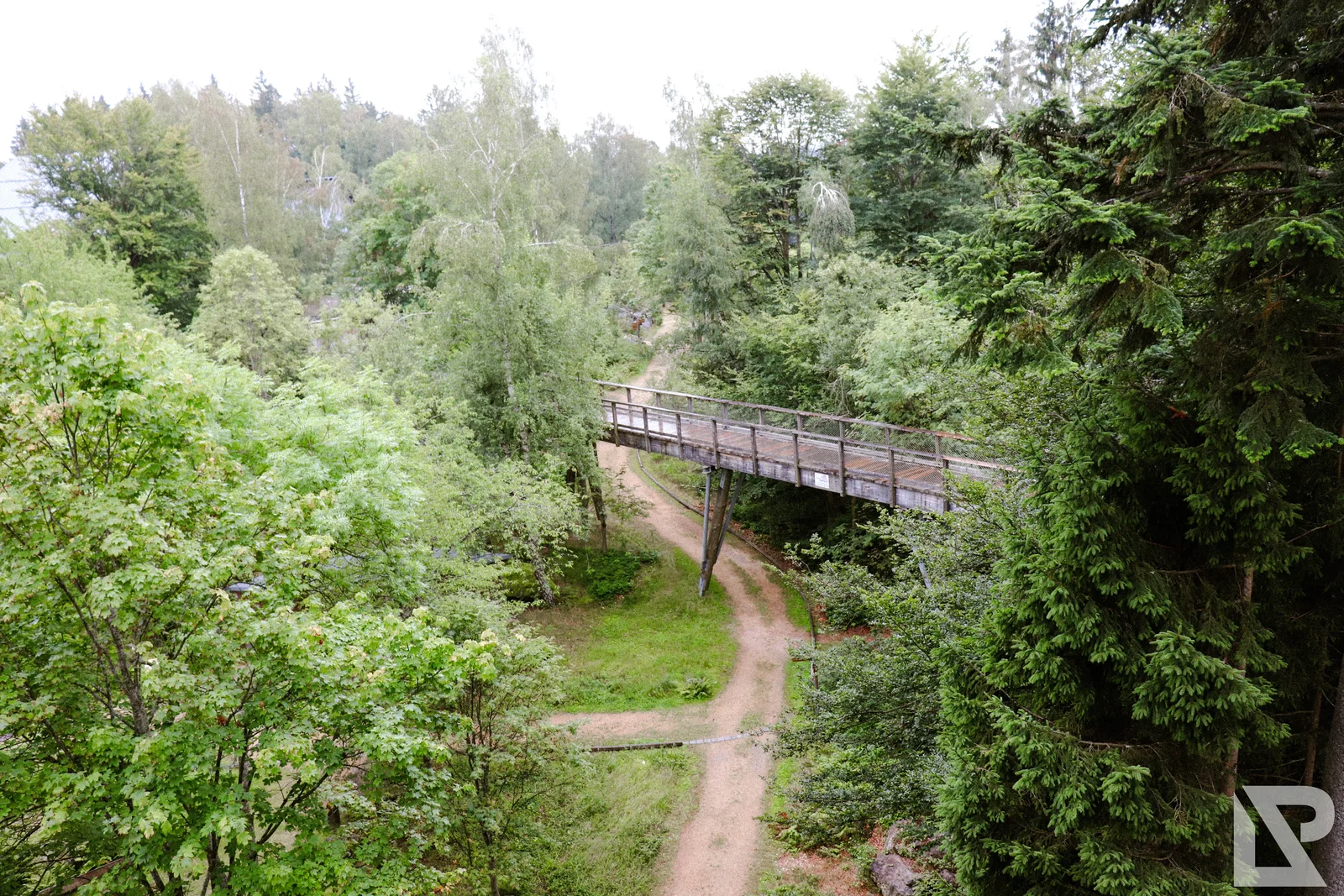 Waldwipfelweg Neuschönau – Foto 38