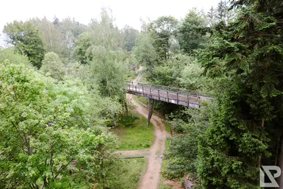 Waldwipfelweg Neuschönau — 38