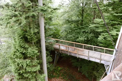 Waldwipfelweg Neuschönau — 40