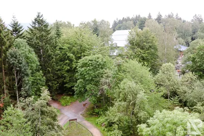 Waldwipfelweg Neuschönau — 42