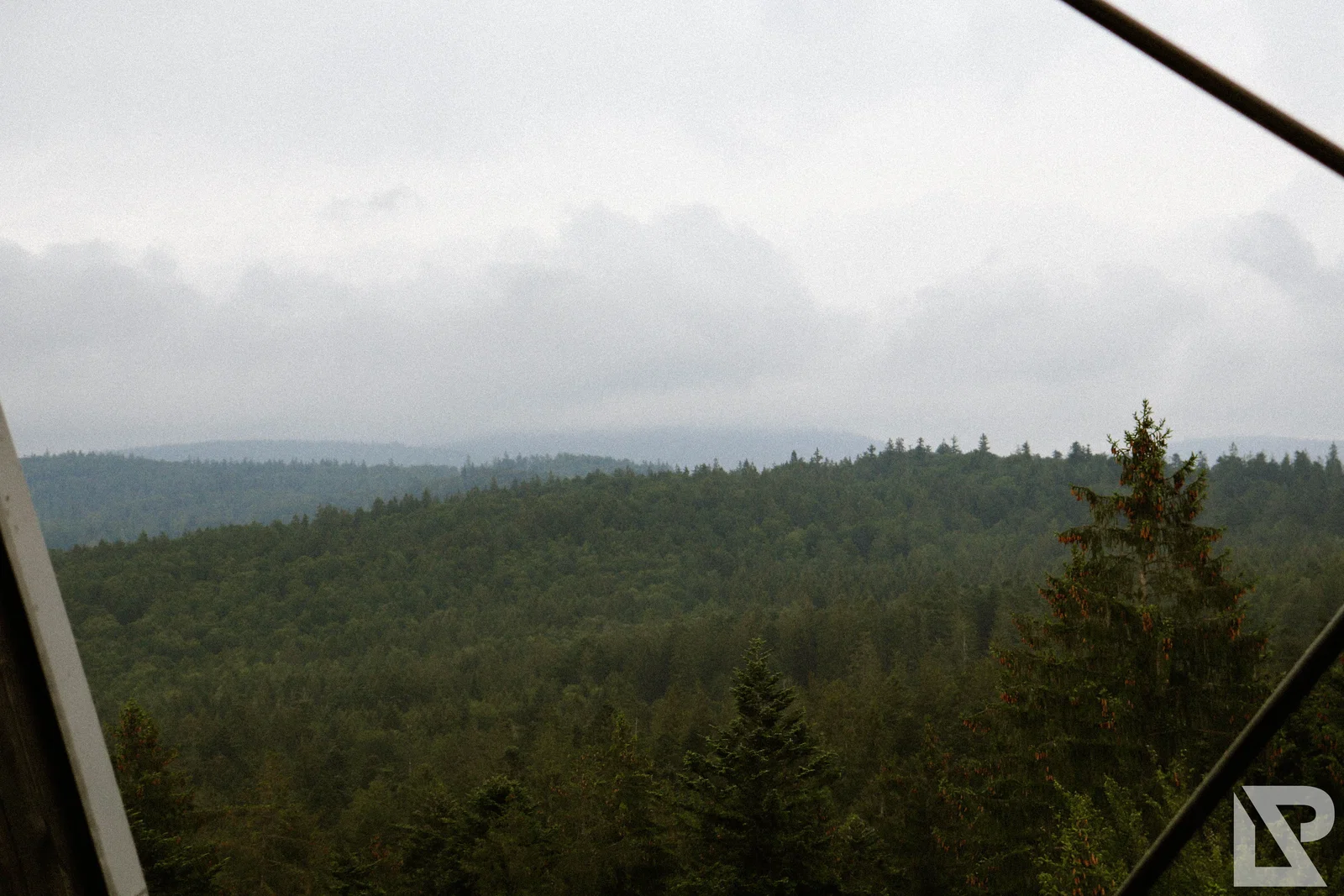 Waldwipfelweg Neuschönau – Foto 47