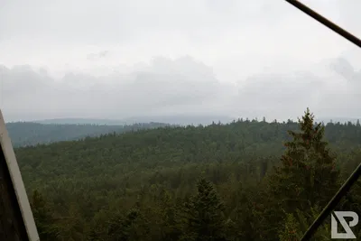 Waldwipfelweg Neuschönau — 47