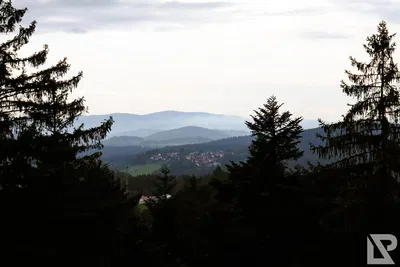 Waldwipfelweg Neuschönau — 48
