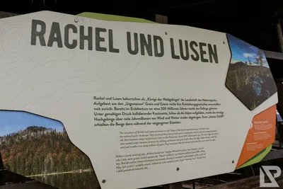 Waldwipfelweg Neuschönau — 50
