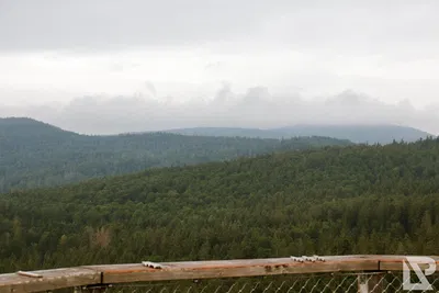 Waldwipfelweg Neuschönau — 54