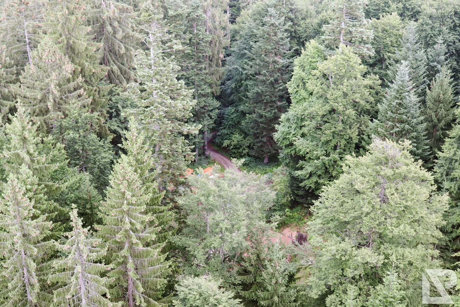 Waldwipfelweg Neuschönau – Foto 63