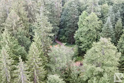 Waldwipfelweg Neuschönau — 63