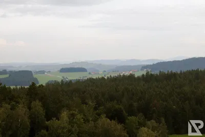 Waldwipfelweg Neuschönau — 65