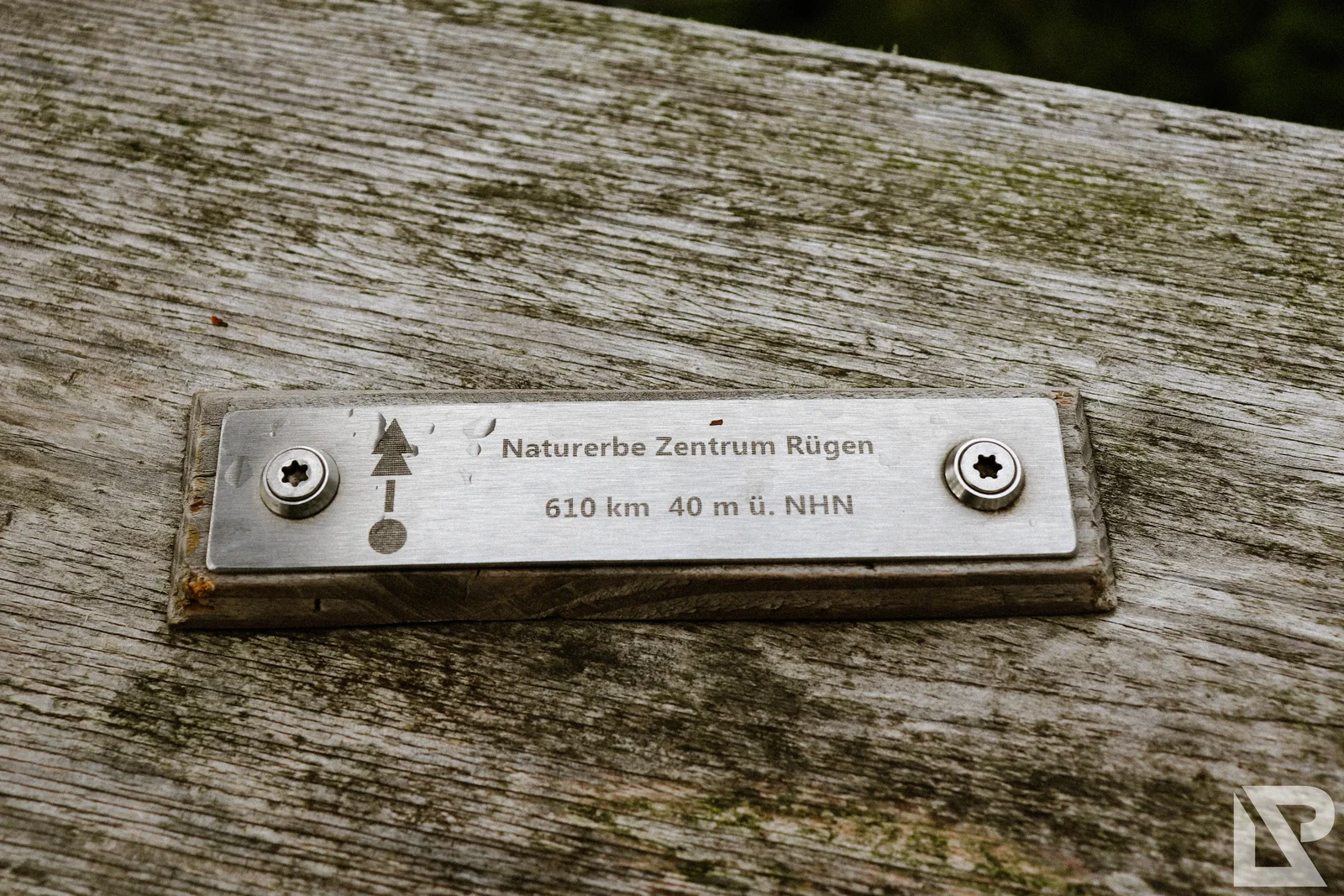 Waldwipfelweg Neuschönau – Foto 75