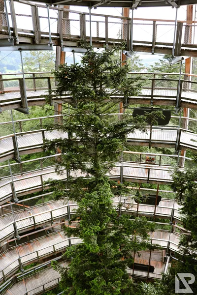Waldwipfelweg Neuschönau — 76