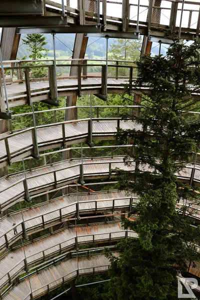 Waldwipfelweg Neuschönau — 77