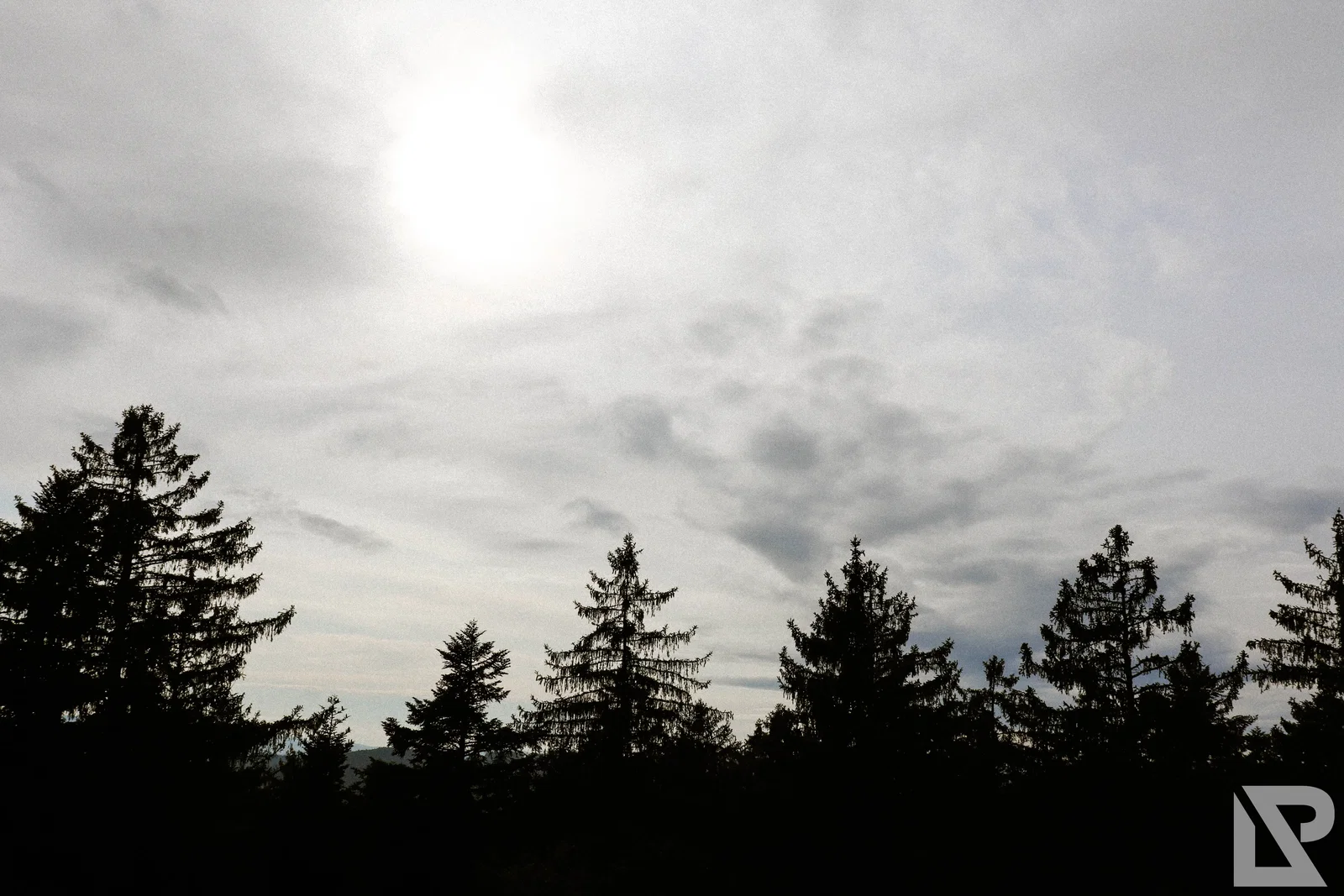 Waldwipfelweg Neuschönau – Foto 78