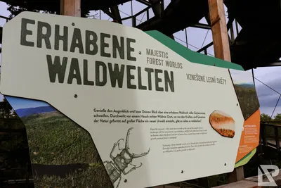 Waldwipfelweg Neuschönau — 79