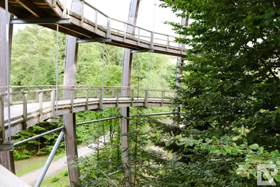 Waldwipfelweg Neuschönau — 81